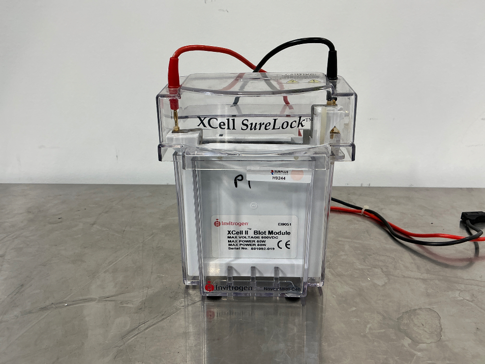 Image of Invitrogen Xcell II Blot Module